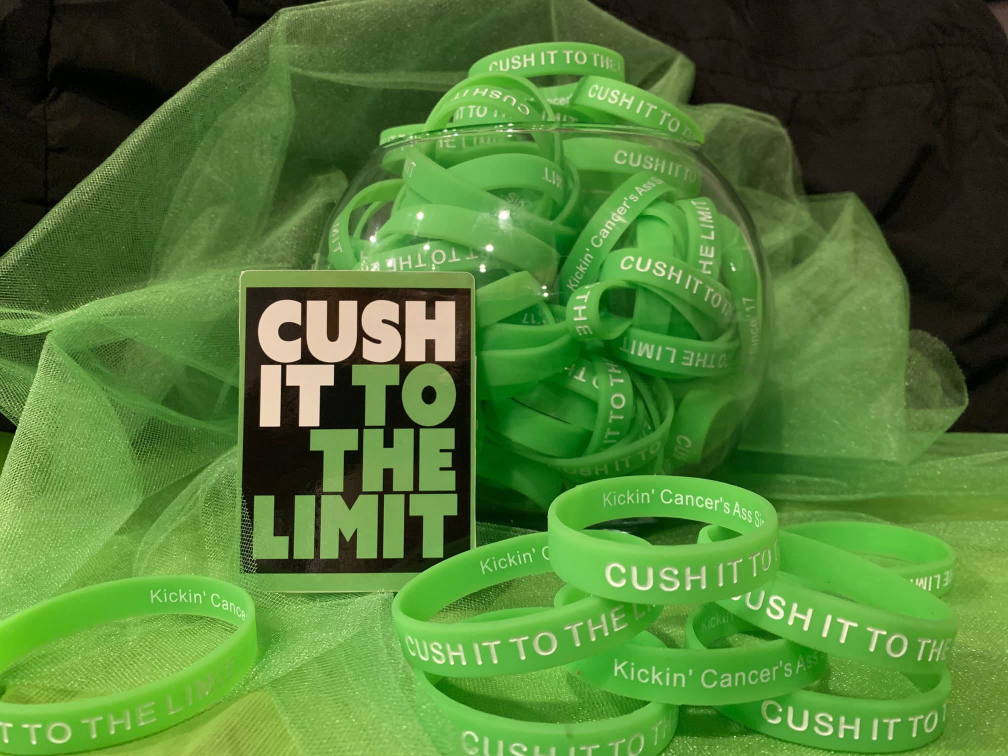 Ben Big Cat Family&Friends 24